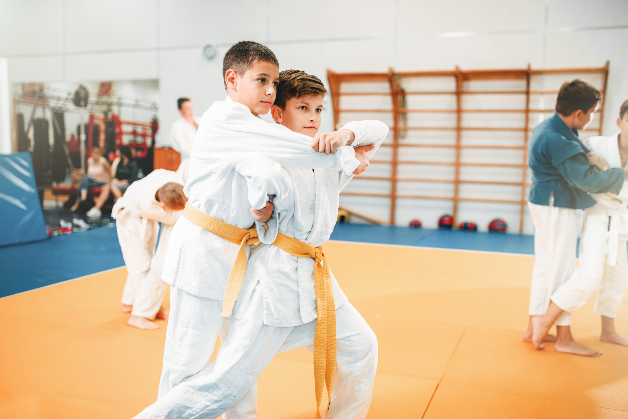 Martial arts academy for judo