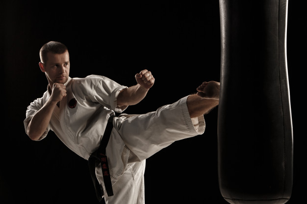 Adult Martial Arts Class in Monroe